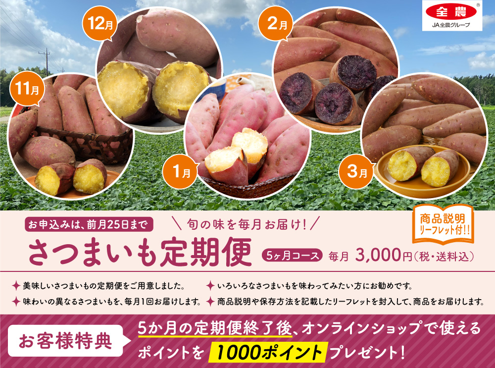 さつまいも定期便