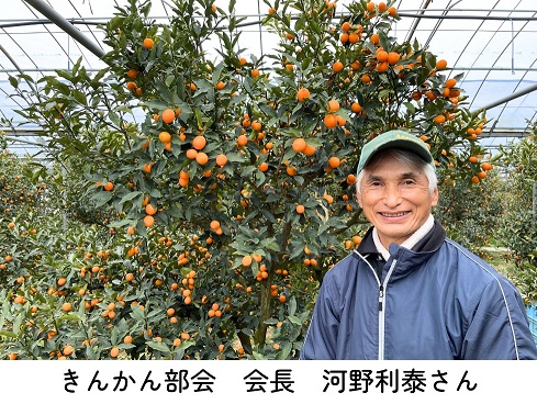 きんかん部会 会長 河野利泰さん