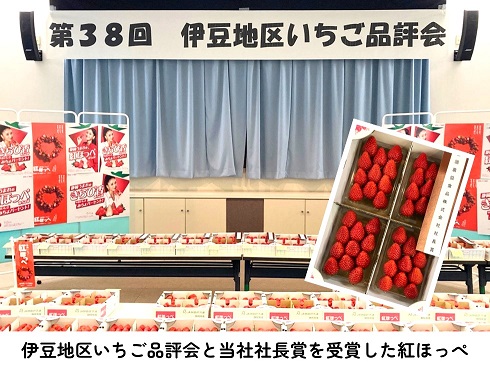 伊豆地区いちご品評会と全国農協食品株式会社社長賞を受賞した紅ほっぺ