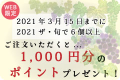 ポイントプレゼントキャンペーン
