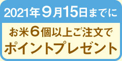 ポイントプレゼントキャンペーン