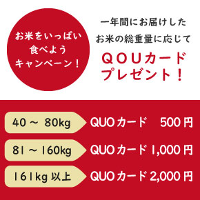 お米を食べようキャンペーン