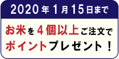 ポイントプレゼントキャンペーン