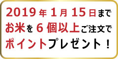 ポイントプレゼントキャンペーン