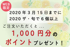 ポイントプレゼントキャンペーン