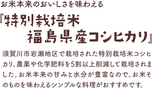 お米本来のおいしさを味わえる『特別栽培米 福島県産コシヒカリ』須賀川市岩瀬地区で栽培された特別栽培米コシヒカリ。農薬や化学肥料を5割以上削減して栽培されました。お米本来の甘みと水分が豊富なので、お米そのものを味わえるシンプルな料理がおすすめです。