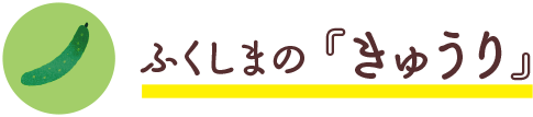 ふくしまの『きゅうり』