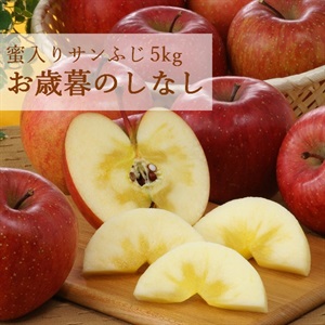 蜜入りサンふじ5kg　12月中旬発送開始(蜜入りサンふじ5kg（のしなし）)