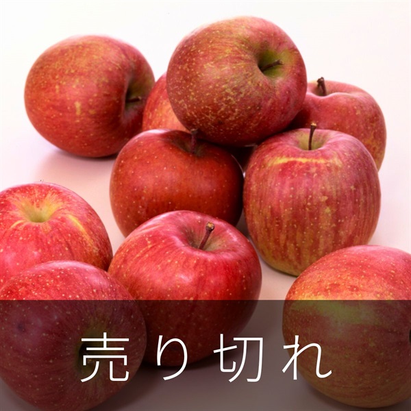 ご自宅用サンふじ　12月中旬発送開始