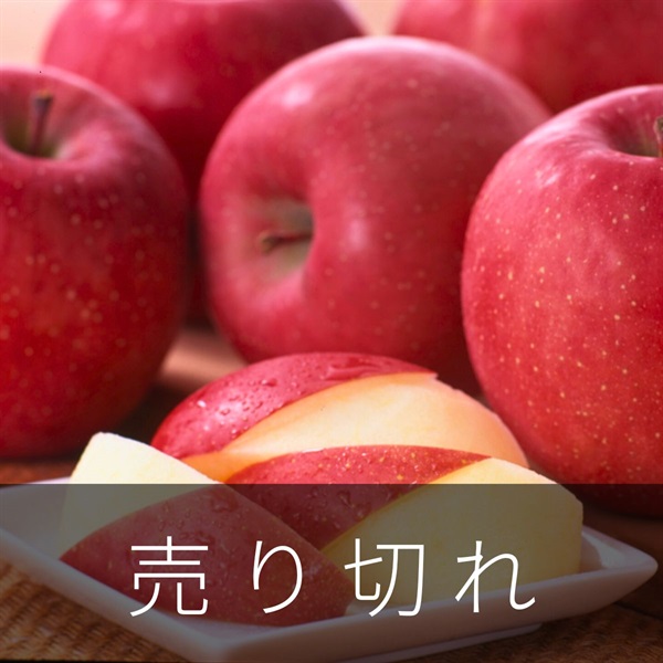 飛馬ふじ4.8kg　1月中旬発送開始