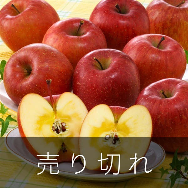 メジャーサンふじ　12月中旬発送開始