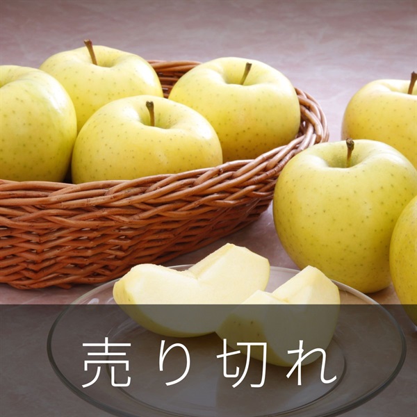 星の金貨　1月中旬発送開始