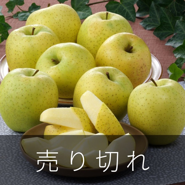 メジャー王林　1月中旬発送開始