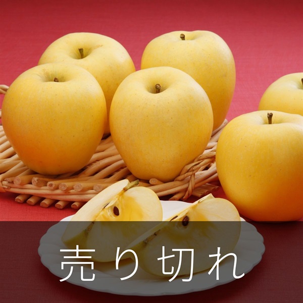 プリンセスはるか　11月下旬発送開始