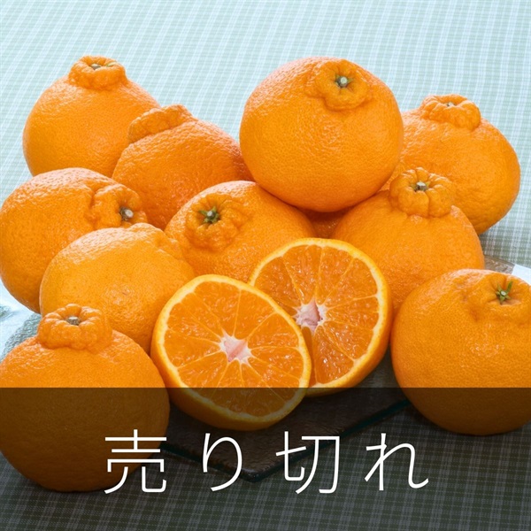 でこぽん様 愛媛のデコポン 3月上旬発送開始 | 全農食品オンラインショップ