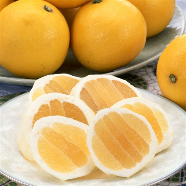 ニューサマー3㎏　4月下旬発送開始