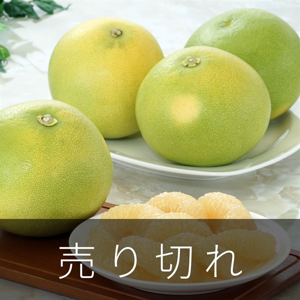 水晶文旦　10月上旬発送開始