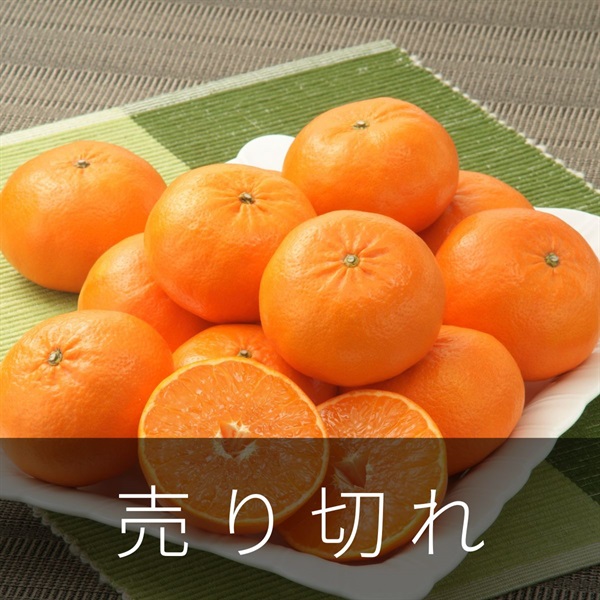 はまさき　2月上旬発送開始