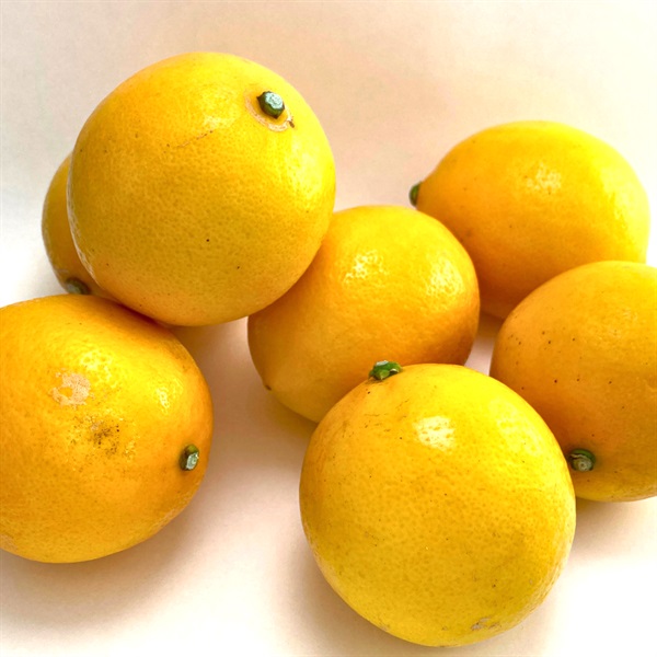 レモン2.5kg（大玉）