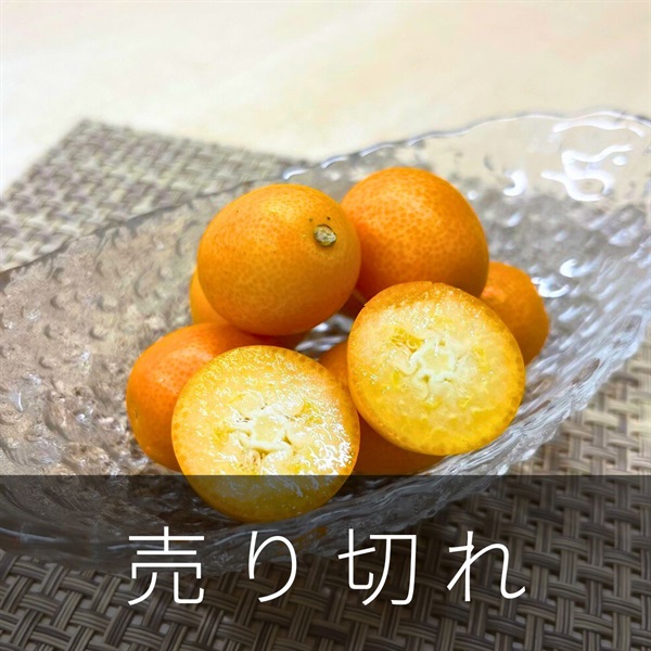 みやざき夢丸　1月中旬発送開始