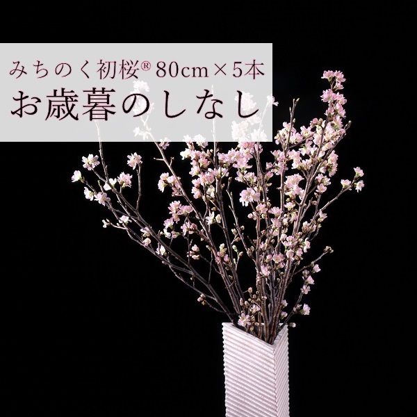 みちのく初桜®（啓翁桜）70～80cm×5本(みちのく初桜®5本（のしなし）)