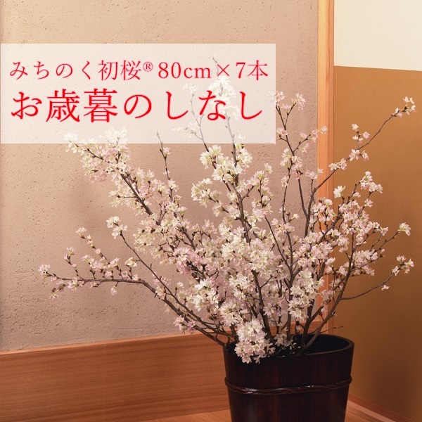 みちのく初桜®（啓翁桜）80cm×7本(みちのく初桜®7本（のしなし）)
