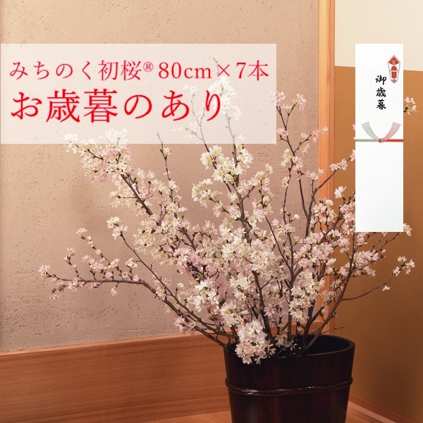 みちのく初桜®（啓翁桜）80cm×7本(みちのく初桜®7本（のしあり）)