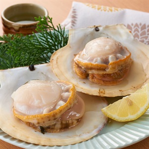 陸奥湾の活ホタテ