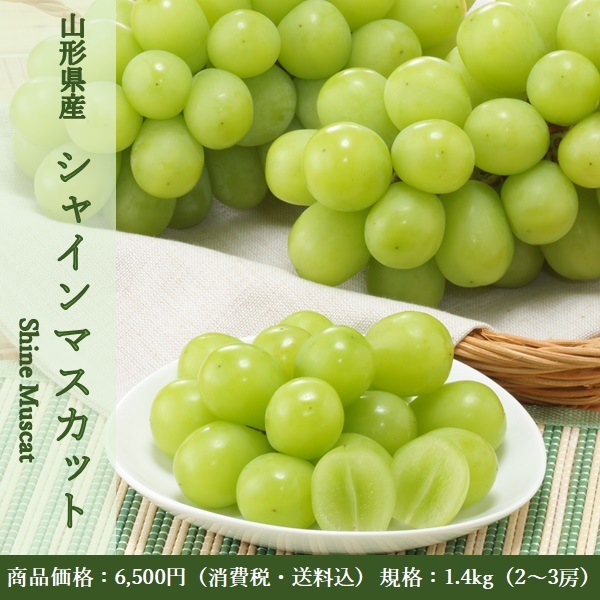 JAやまがたのシャインマスカット1.4kg（2～3房）　9月下旬発送開始