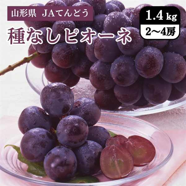 種なしピオーネ　9月中旬発送開始