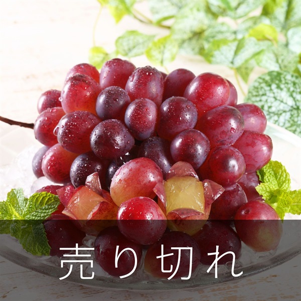 クイーンルージュ　10月中旬発送開始