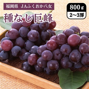 【お中元のし無し】種なし巨峰