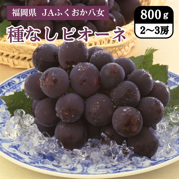 種なしピオーネ　7月上旬発送開始