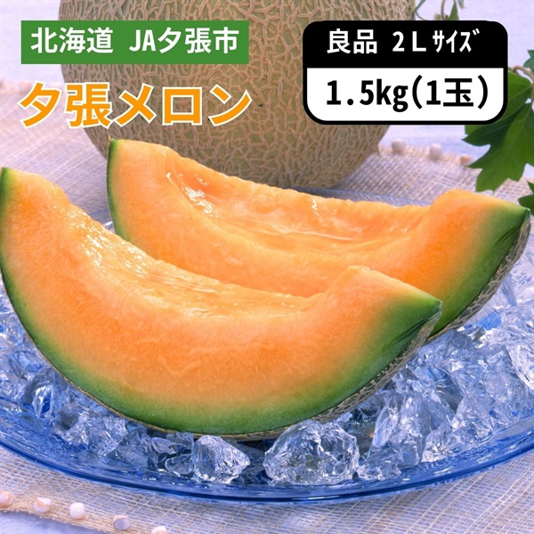 夕張メロン良品 2Lサイズ 1玉　6月下旬発送開始
