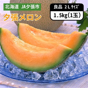 夕張メロン良品 2Lサイズ 1玉　6月下旬発送開始