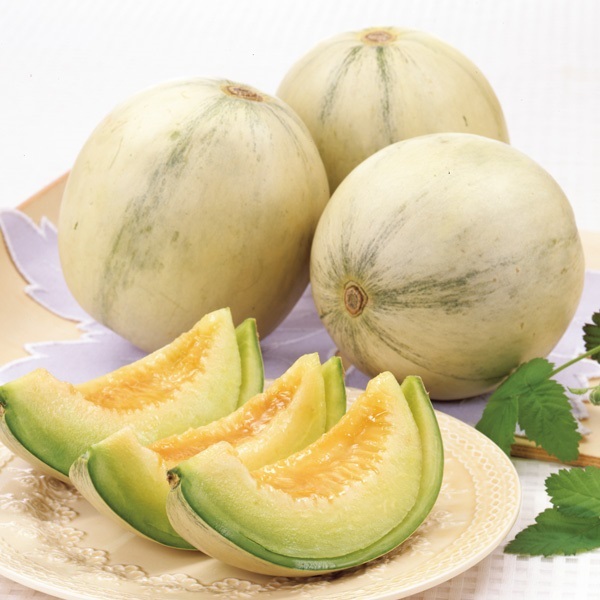 プリンスメロン　4月上旬発送開始