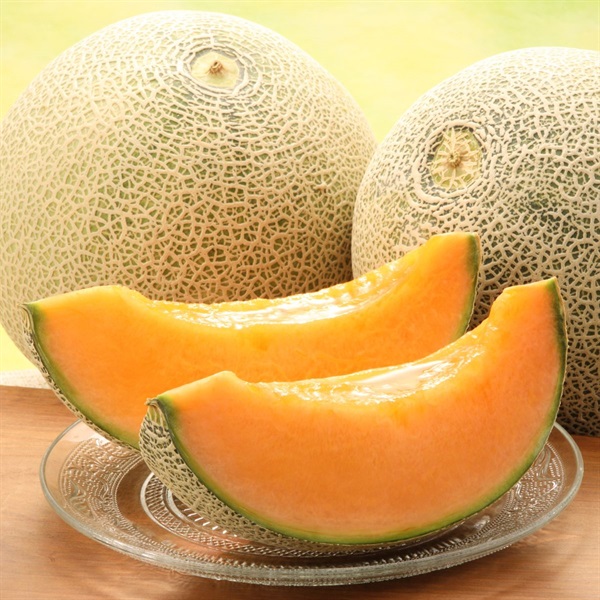 レノンメロン　5月中旬発送開始