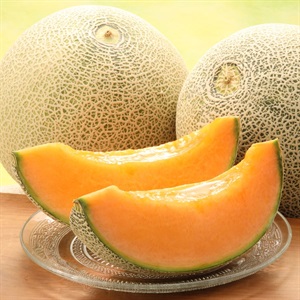 レノンメロン　5月中旬発送開始