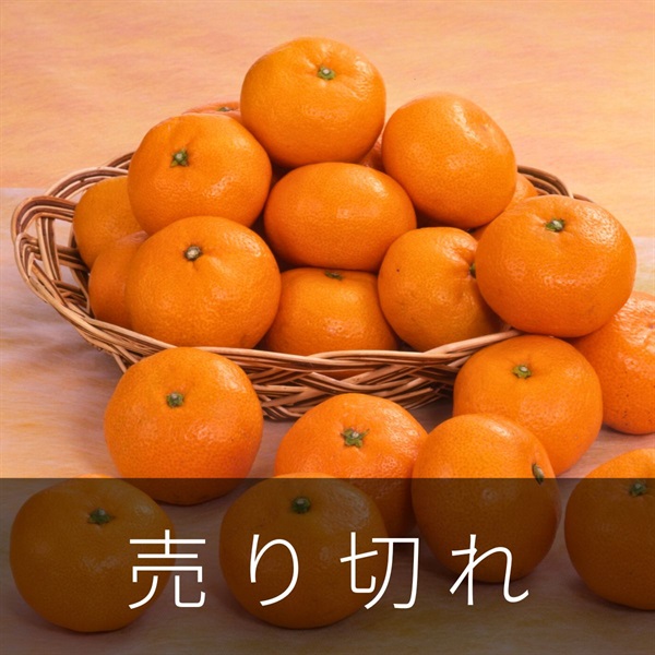 有田みかん3kg　12月上旬発送開始