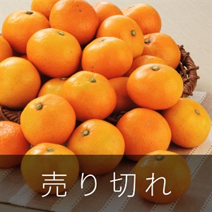 彩みかん（有田みかん）　10月中旬発送開始