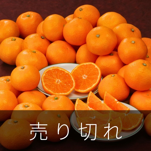 有田小みかん3kg　12月上旬発送開始