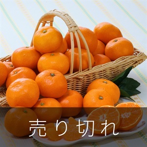 愛媛みかん3kg　11月下旬発送開始