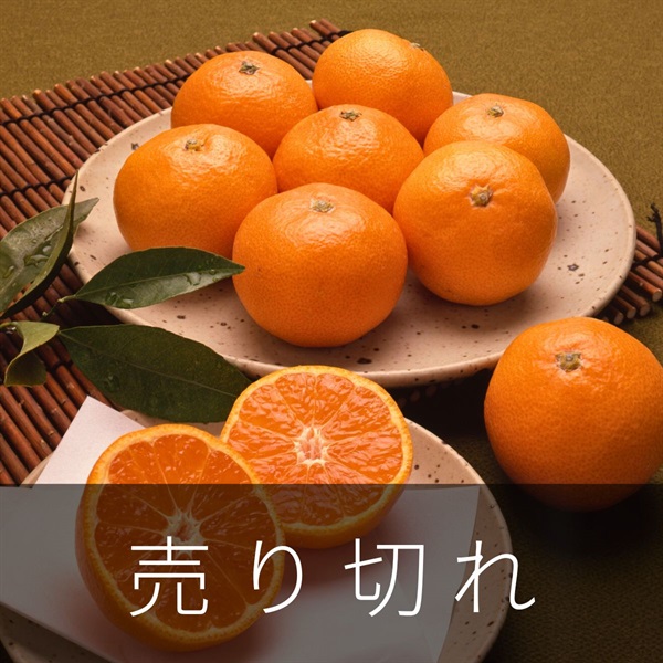みなのみかん2kg　12月上旬発送開始
