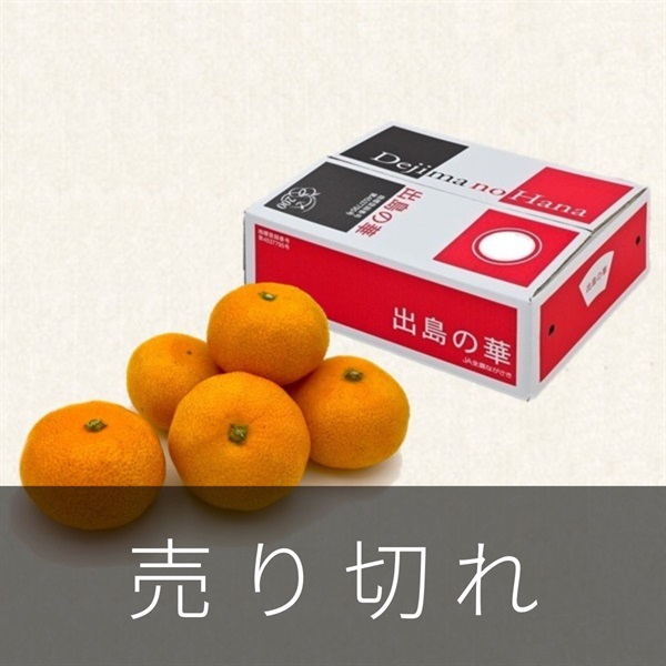 長崎みかん「出島の華」5kg　12月中旬発送開始