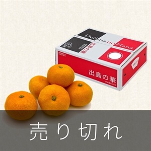 長崎みかん「出島の華」5kg　12月中旬発送開始
