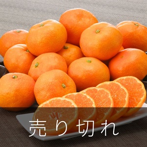 〇南のハウスみかん（糖度選別）　7月上旬発送開始