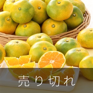 南国の陽蜜　9月下旬発送開始