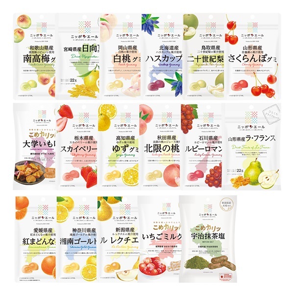 ニッポンエールBOX（おまかせ17種）