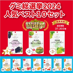 【グミ総選挙2024】人気ベスト10セット