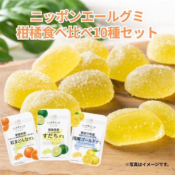 グミ柑橘食べ比べ　10種セット